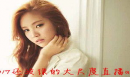 无91限制大尺度直播app,揭秘91限制大尺度直播APP的神秘世界